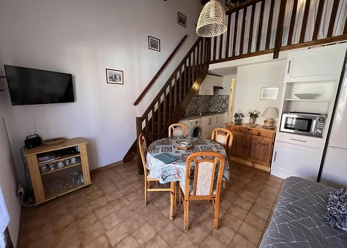 Charmante Avec Terrasse, à 250m De La Plage, 6 Couchages - Port - Fr-1-81-480 *