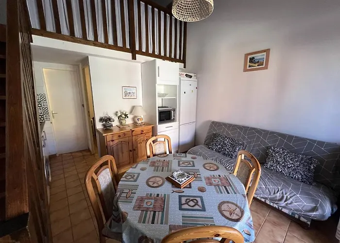 Βίλα Charmante Avec Terrasse, A 250m De La Plage, 6 Couchages - Port - Fr-1-81-480